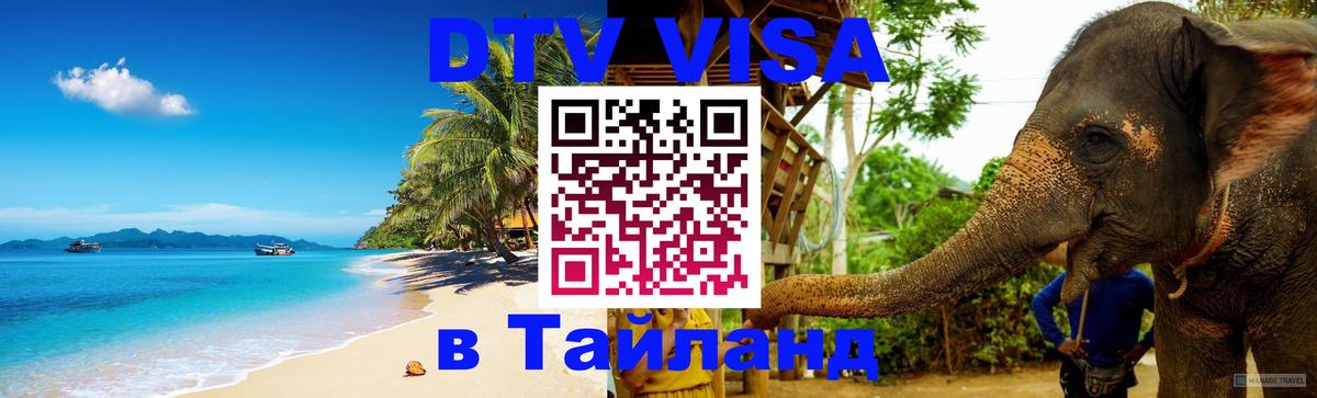 Сколько стоит DTV виза — актуальные цены, оформление даже без документов - 20.11.2025 